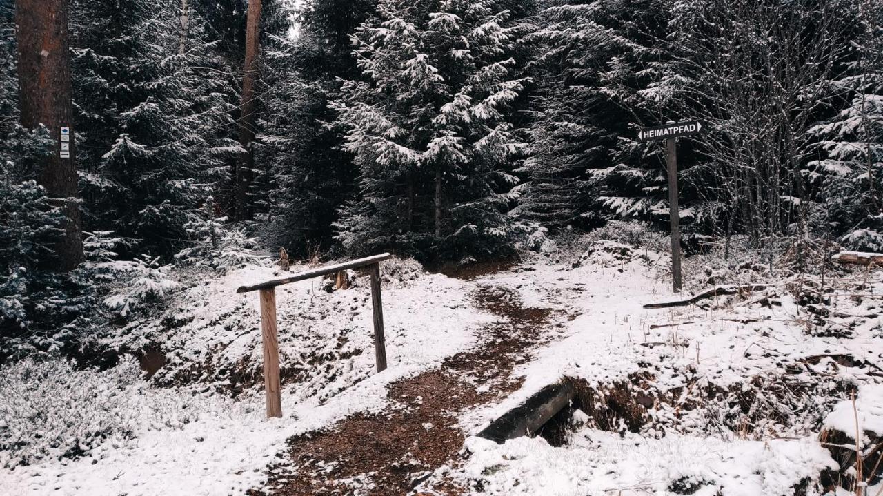 Appartamento Wanderlust Panorama - Leben Im Nationalpark Freudenstadt Esterno foto